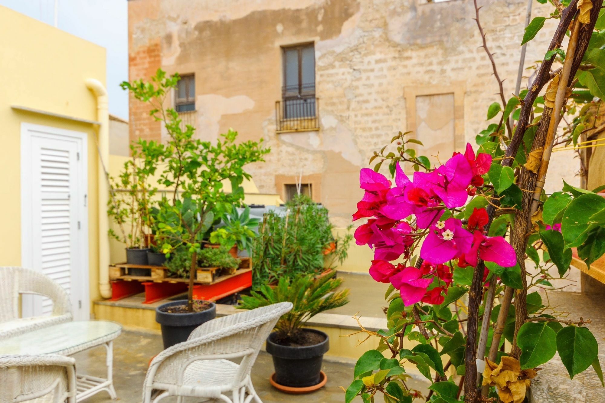 Le Vie Di Trapani Apartman Kültér fotó
